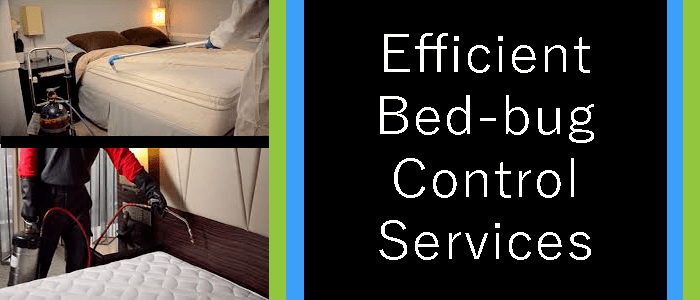 Efficient Bed Bug Control Service